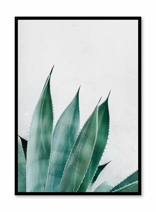 Prickly Leaves, Poster