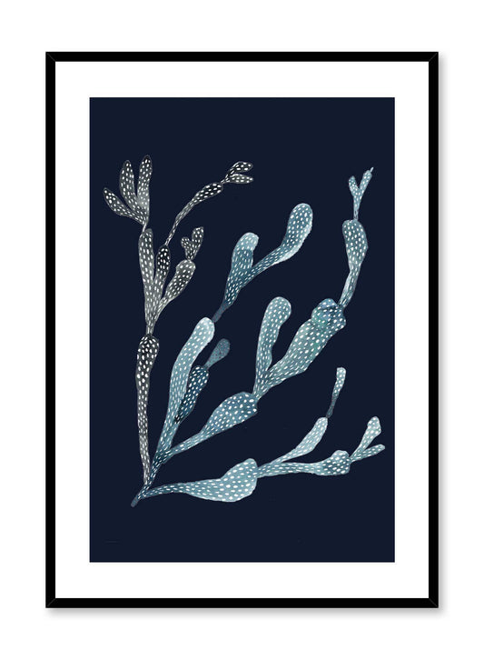 Navy Coral, Poster