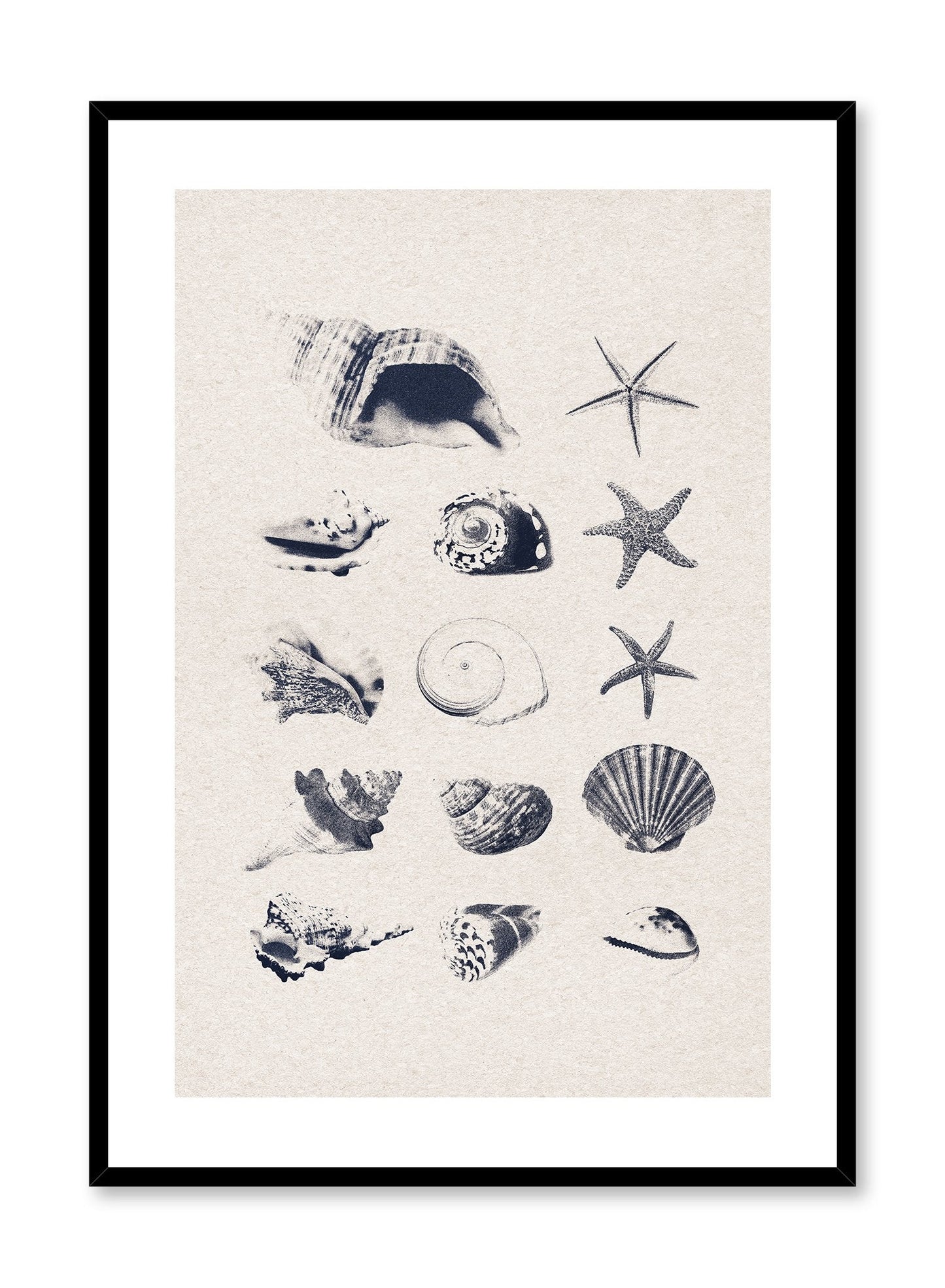 Coastal Treasures, Poster
