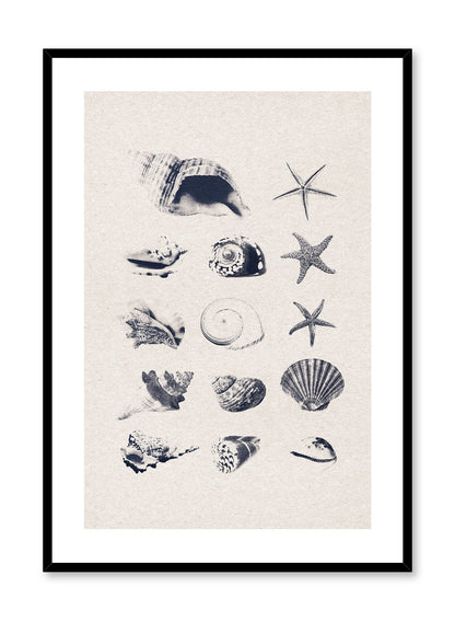 Coastal Treasures, Poster