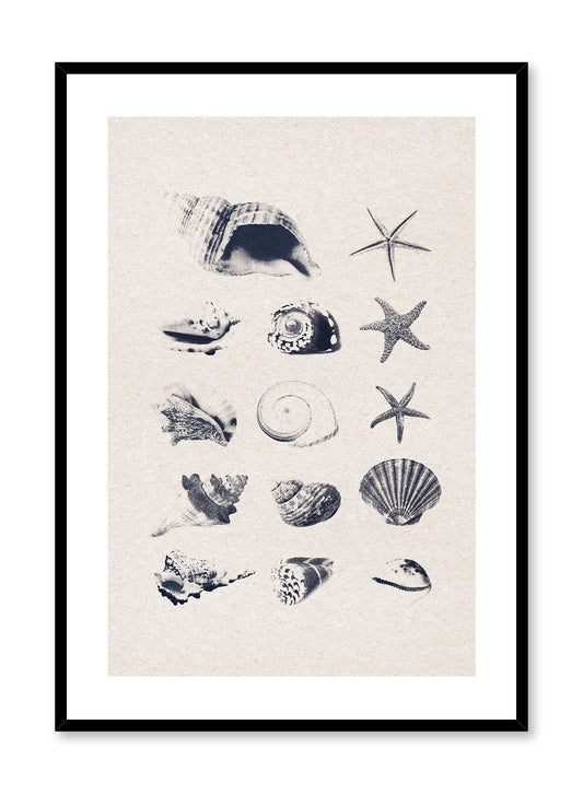 Coastal Treasures, Poster