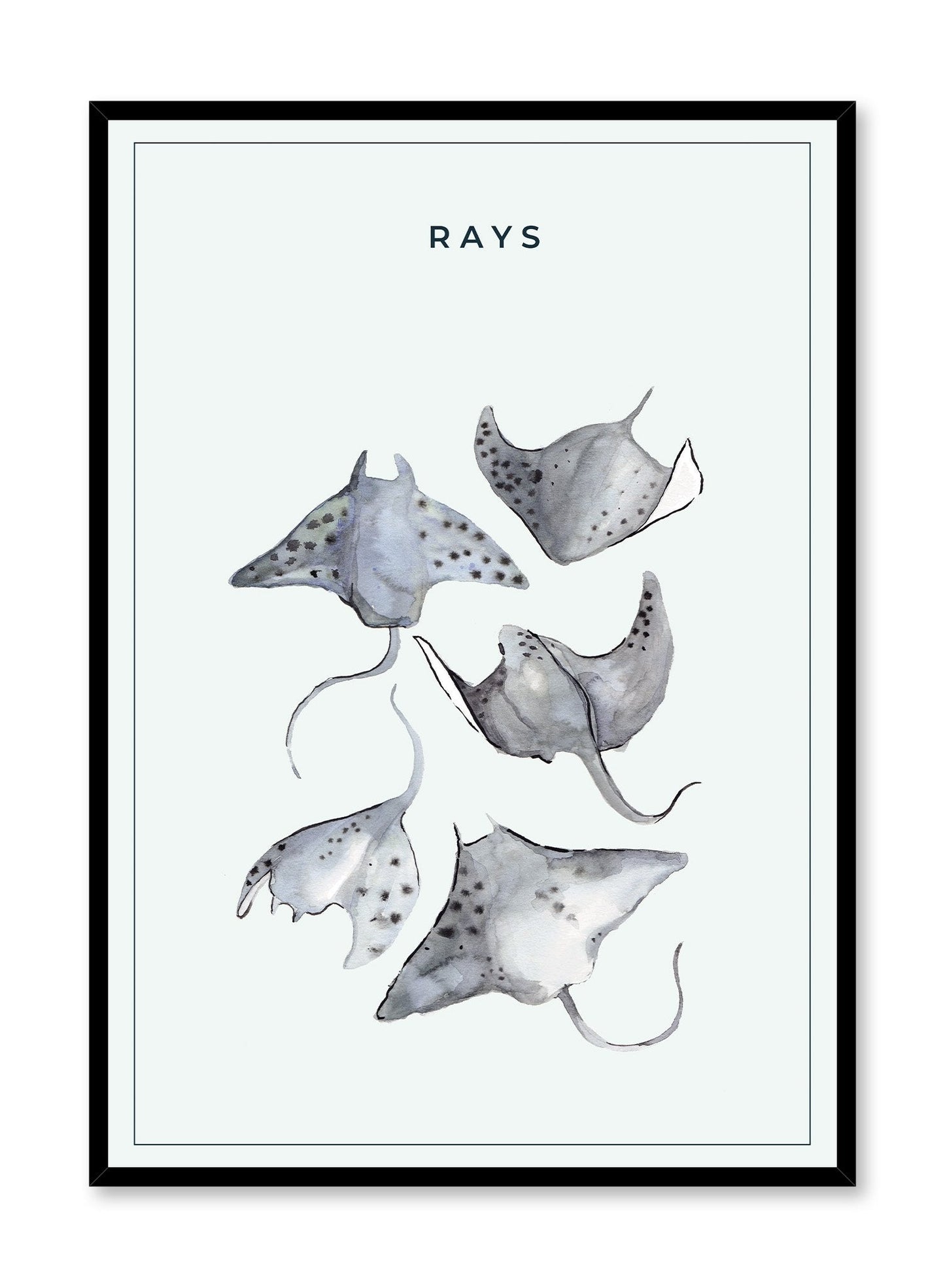 Ray Gang, Poster