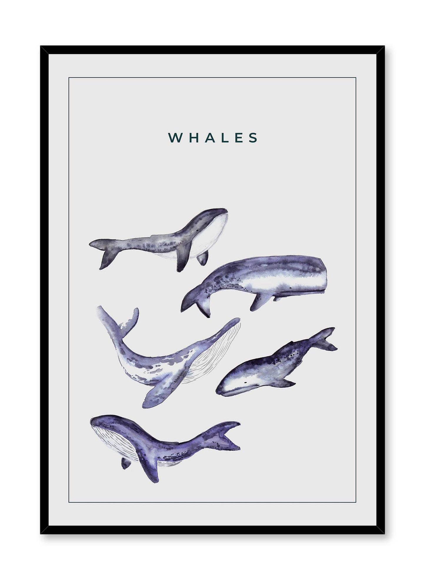 Whale Gang, Poster