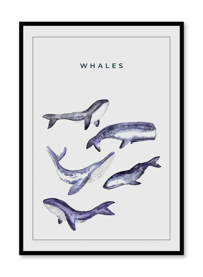 Whale Gang, Poster