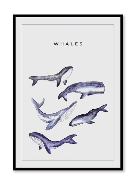 Whale Gang, Poster
