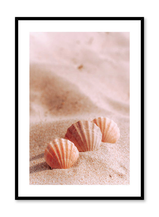 Sweet Seashells, Poster