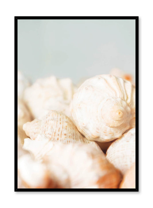 Conch, Poster