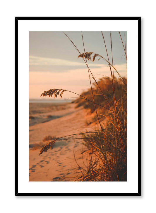 Dune Feathers, Poster