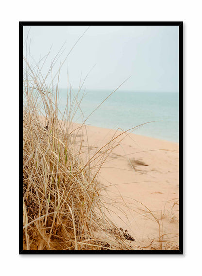 Sandy Grass, Poster