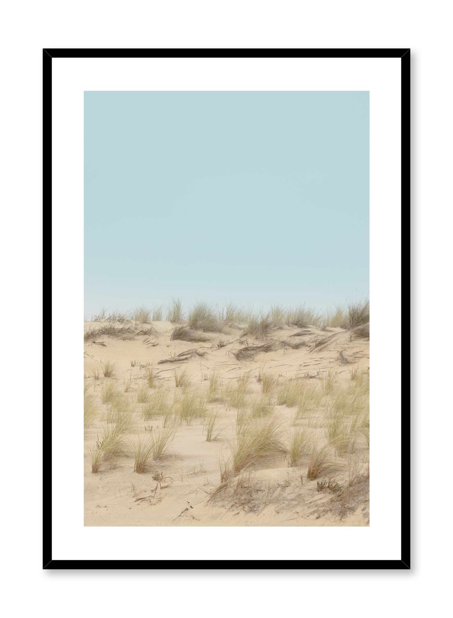 Windy Dune, Poster