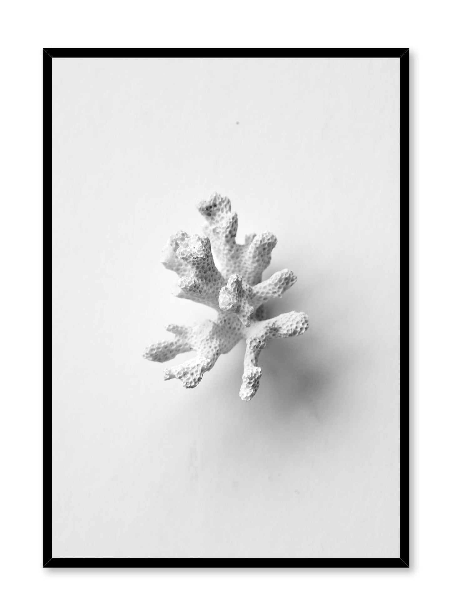 Coral Sprig, Poster