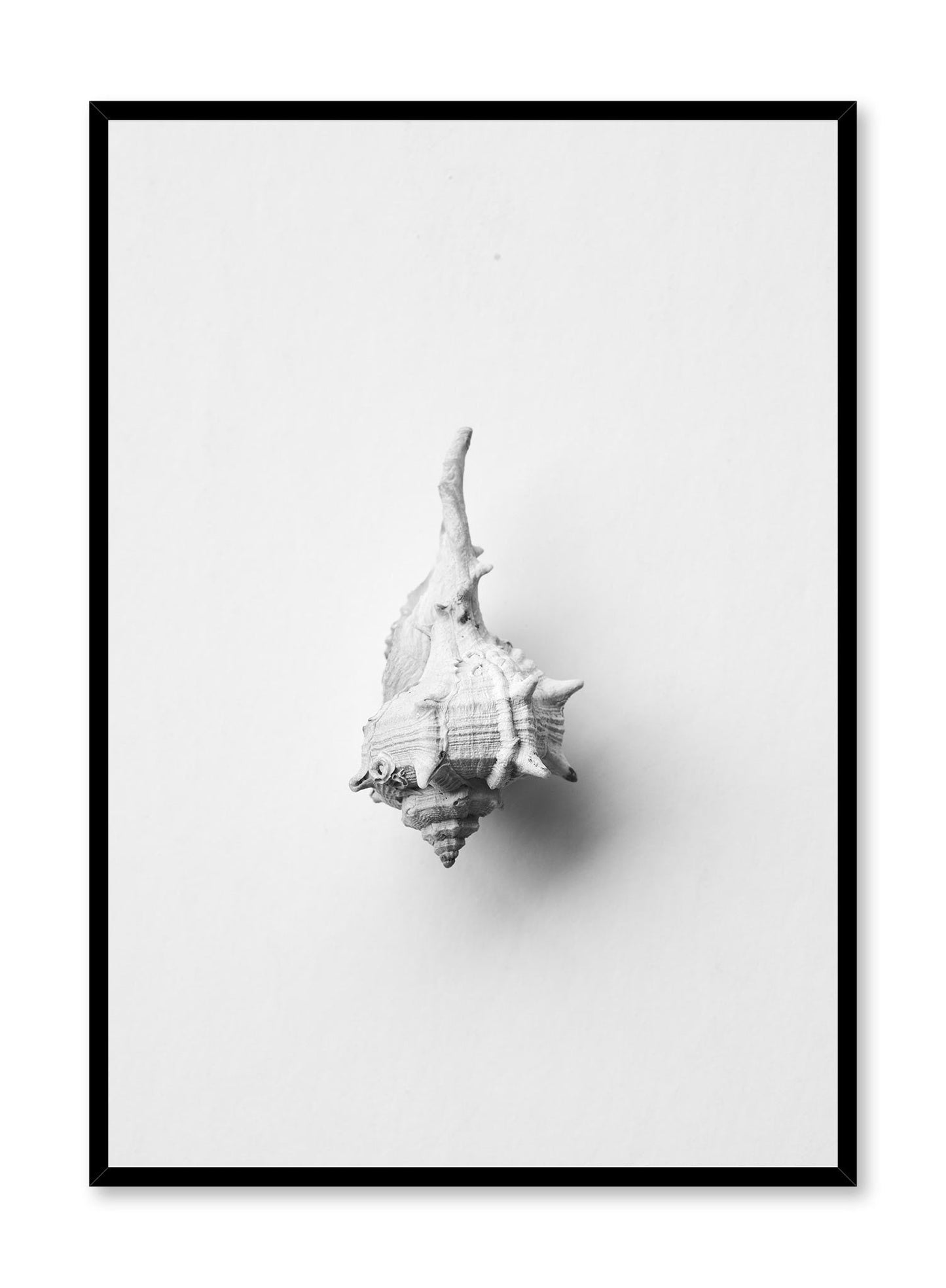 Horse Conch, Poster