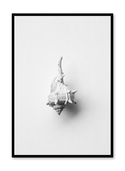 Horse Conch, Poster
