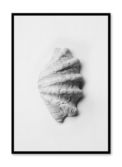 Scallop Shell, Poster