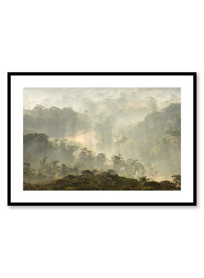 Rainforest, Poster