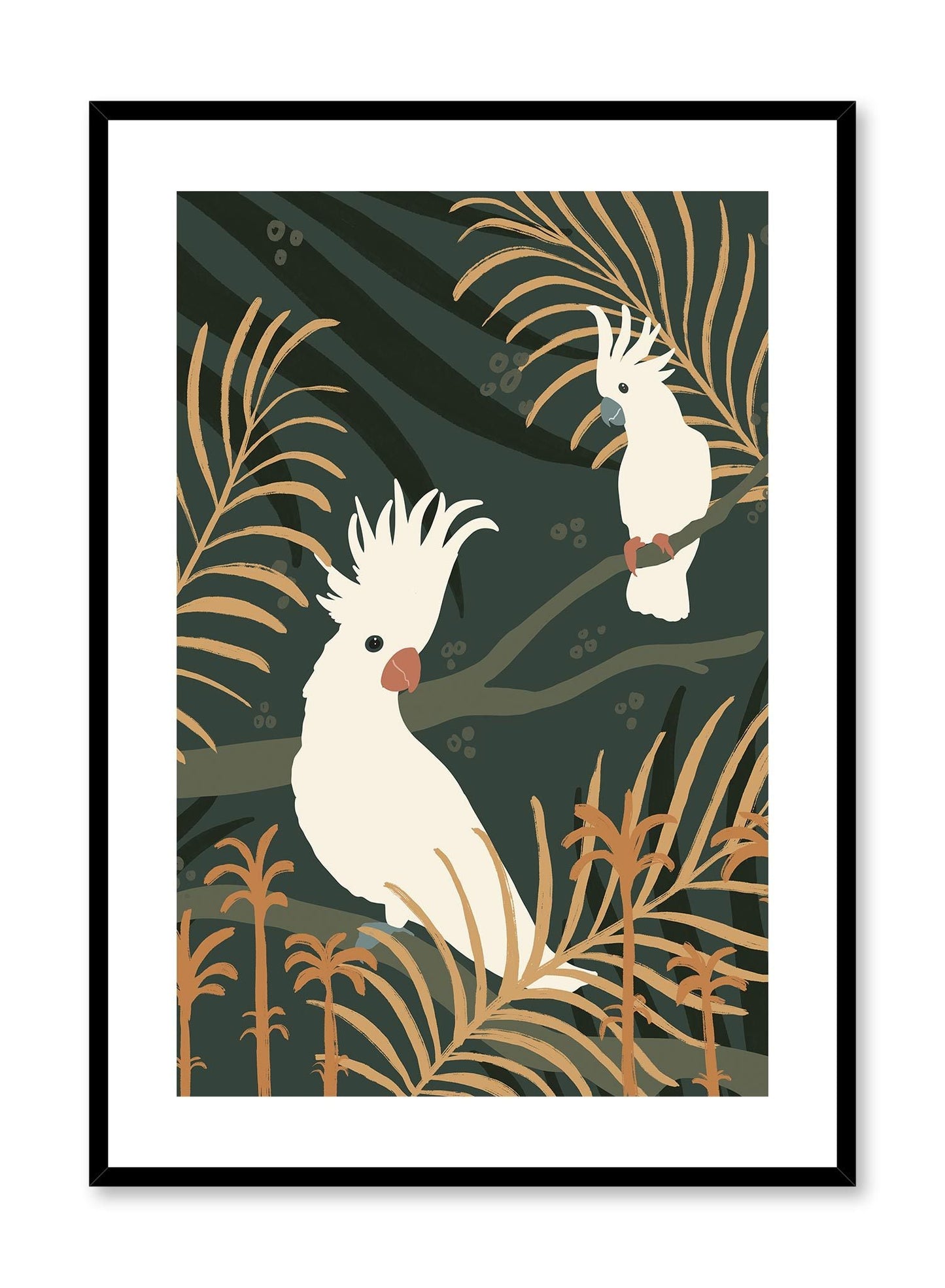 Cacatua, Poster
