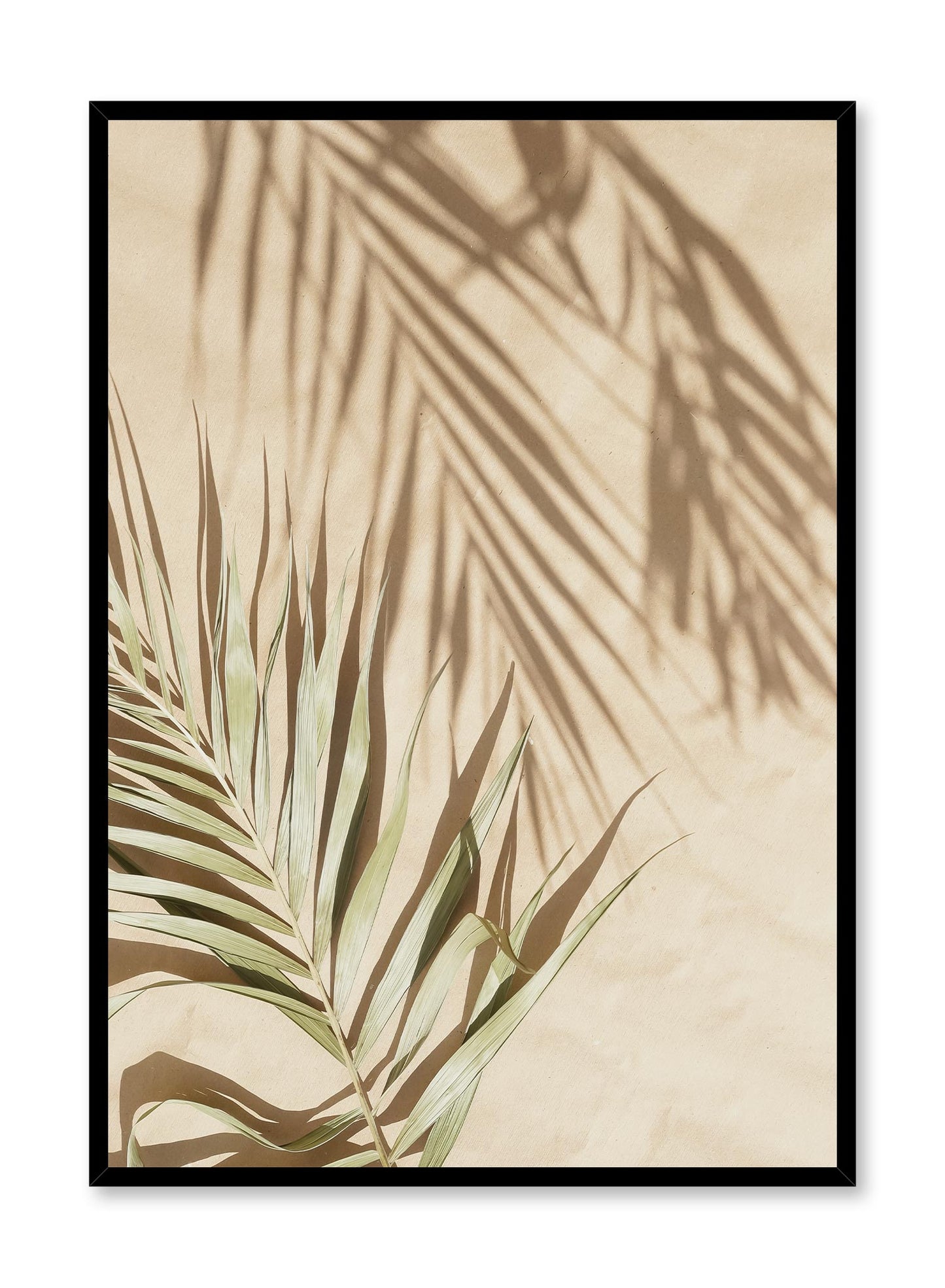Scorching Day, Poster