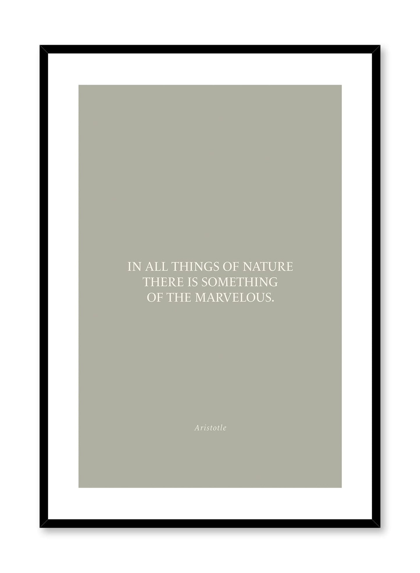 Marvelous Nature, Poster