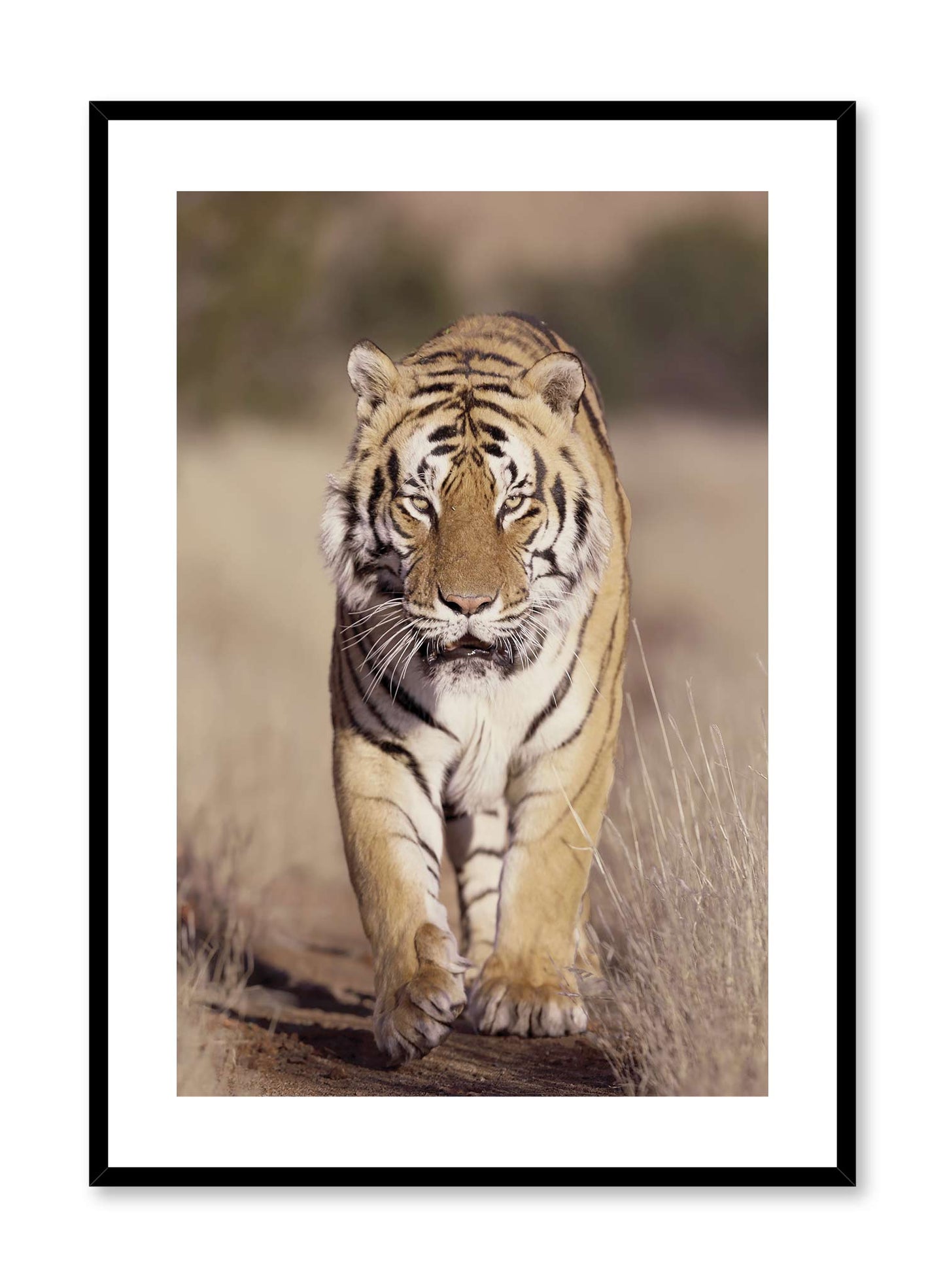 On the Prowl, Poster