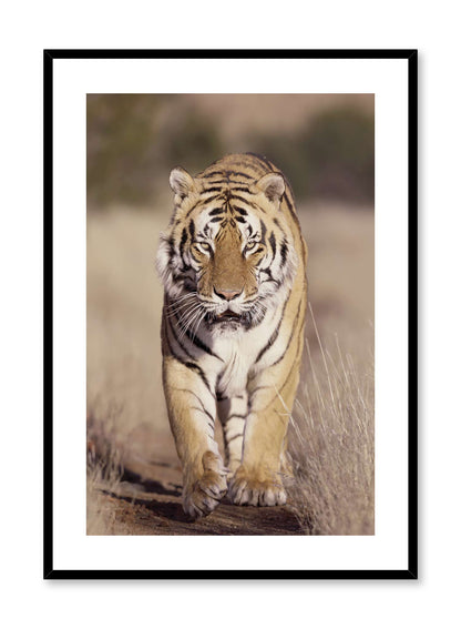 On the Prowl, Poster