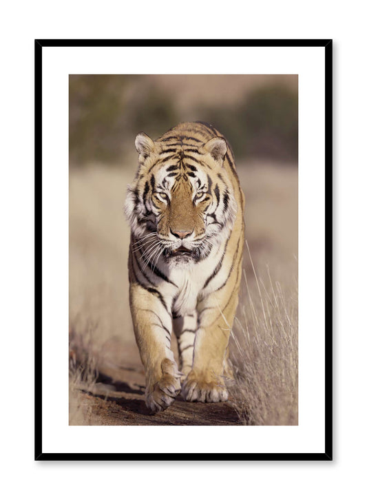 On the Prowl, Poster