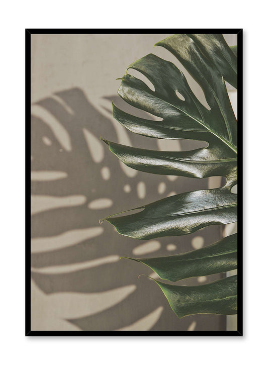 Shady Monstera, Poster