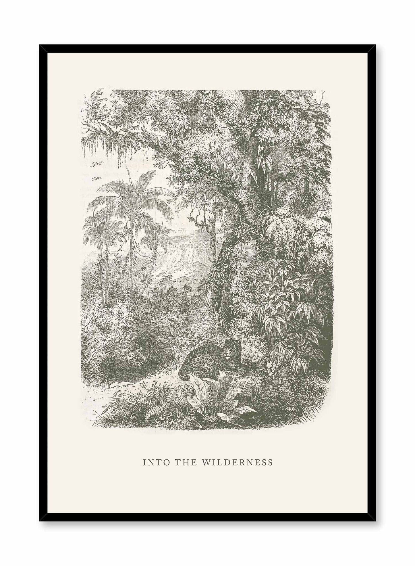 Antique Jungle, Poster