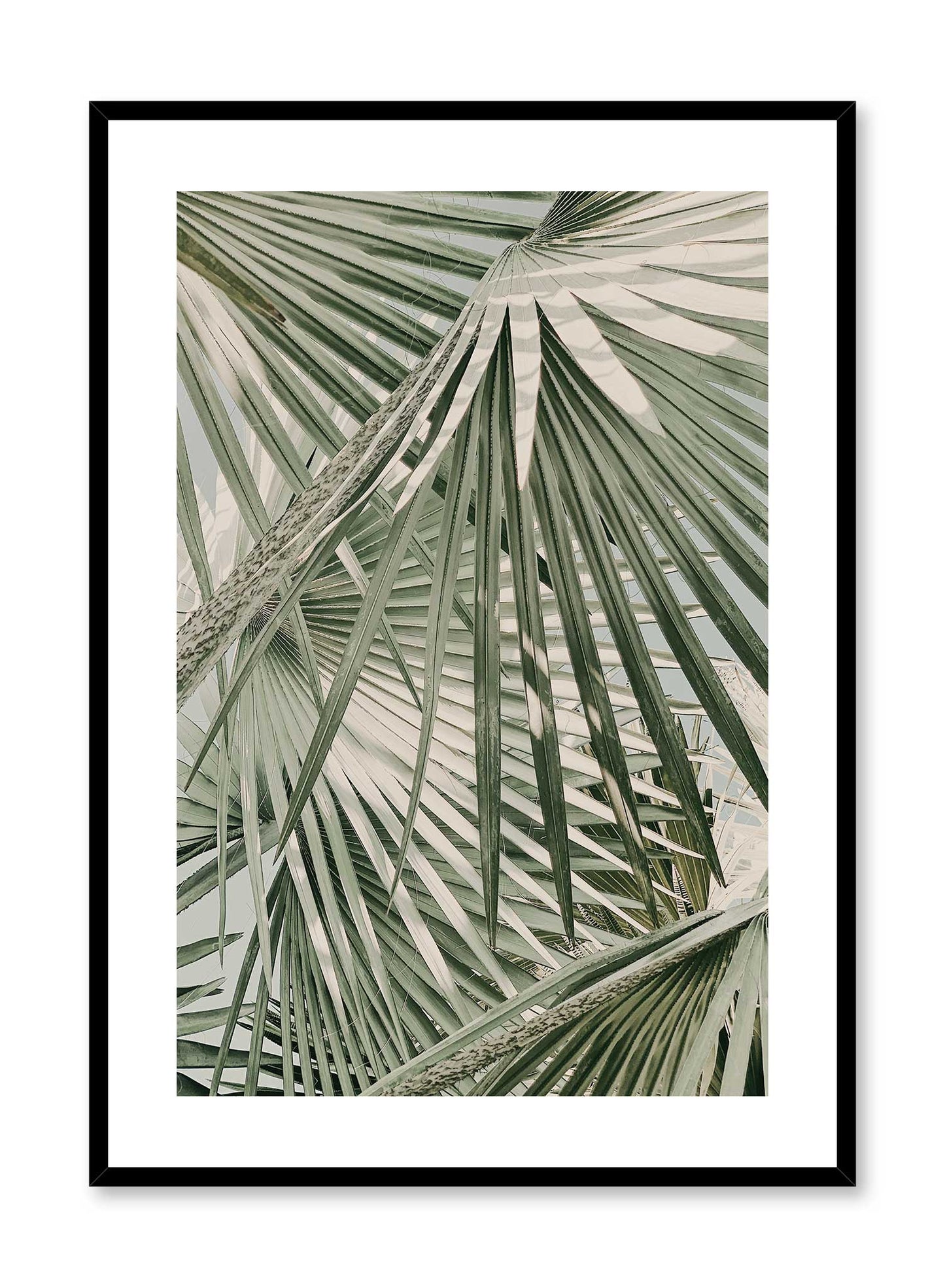 Through the Bush, Poster