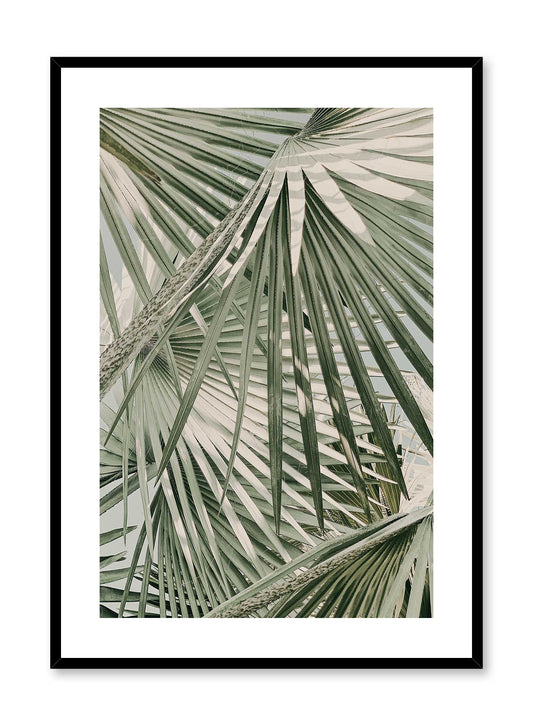 Through the Bush, Poster