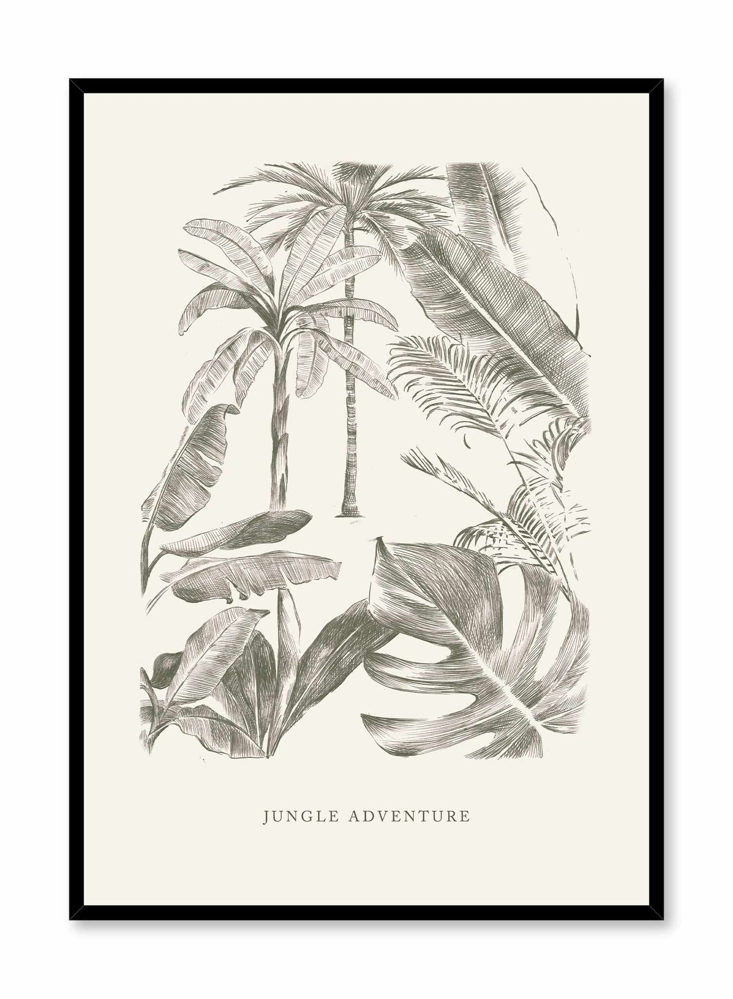 Jungle Adventure, Poster