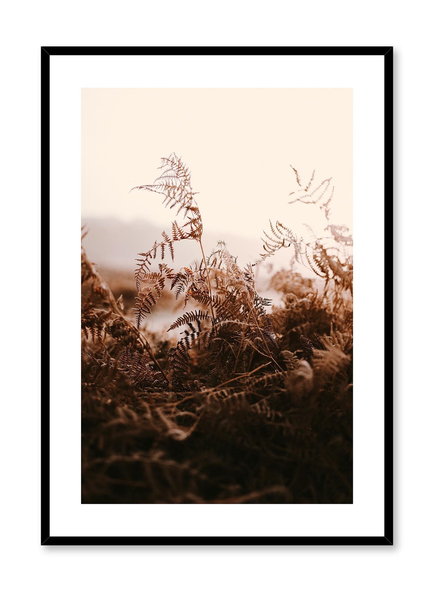Forest Fern, Poster