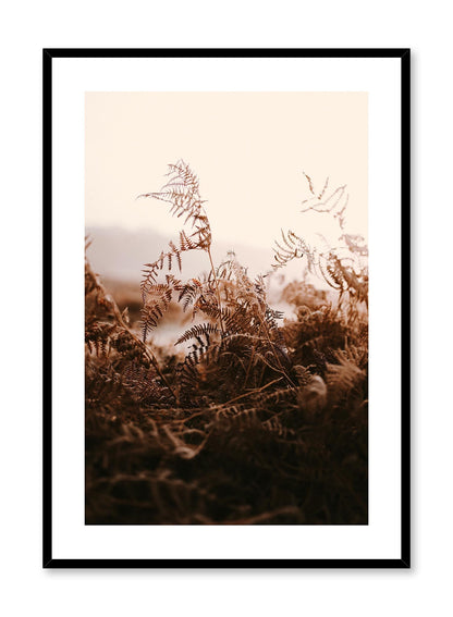 Forest Fern, Poster