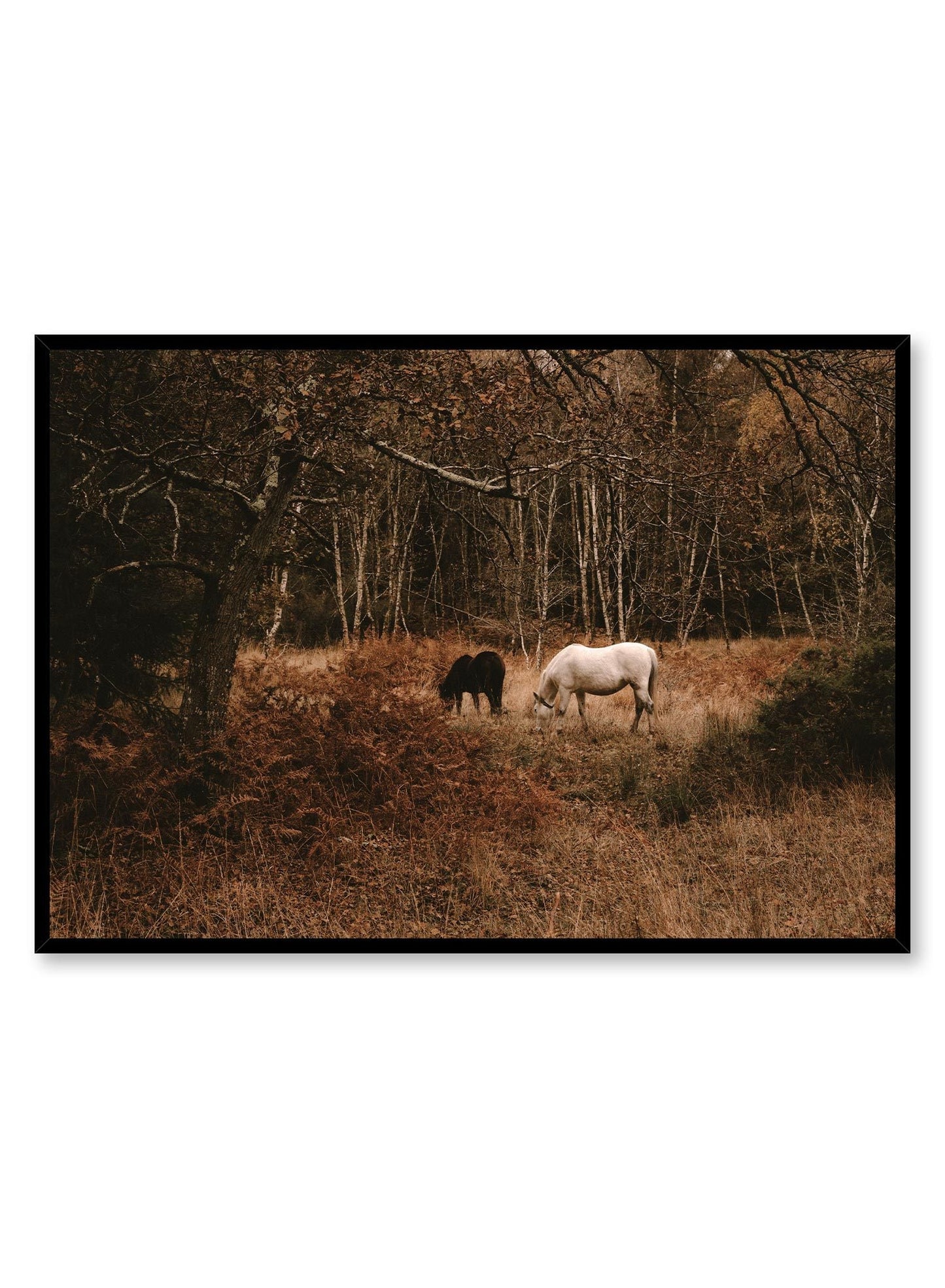 Mustang, Poster