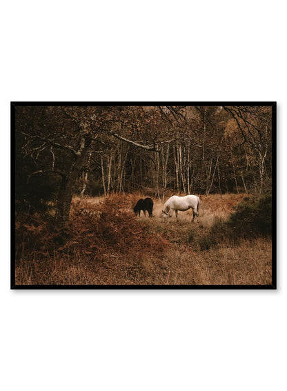 Mustang, Poster