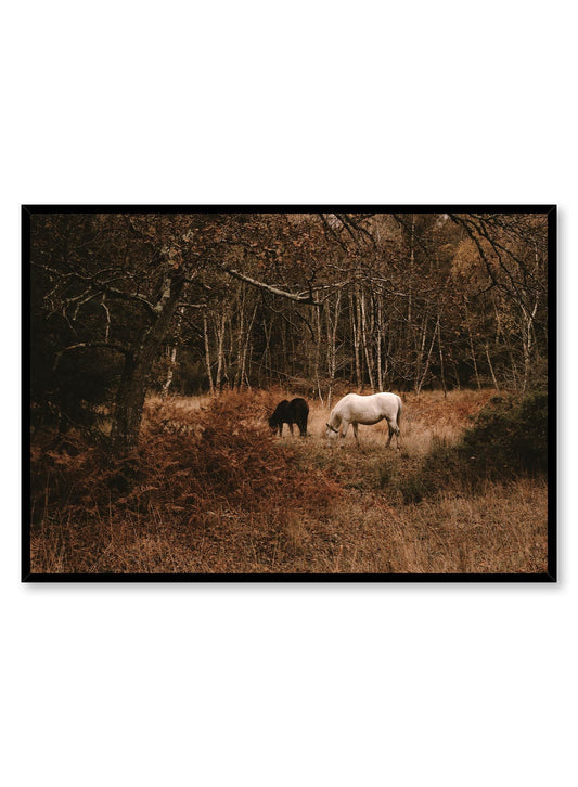 Mustang, Poster