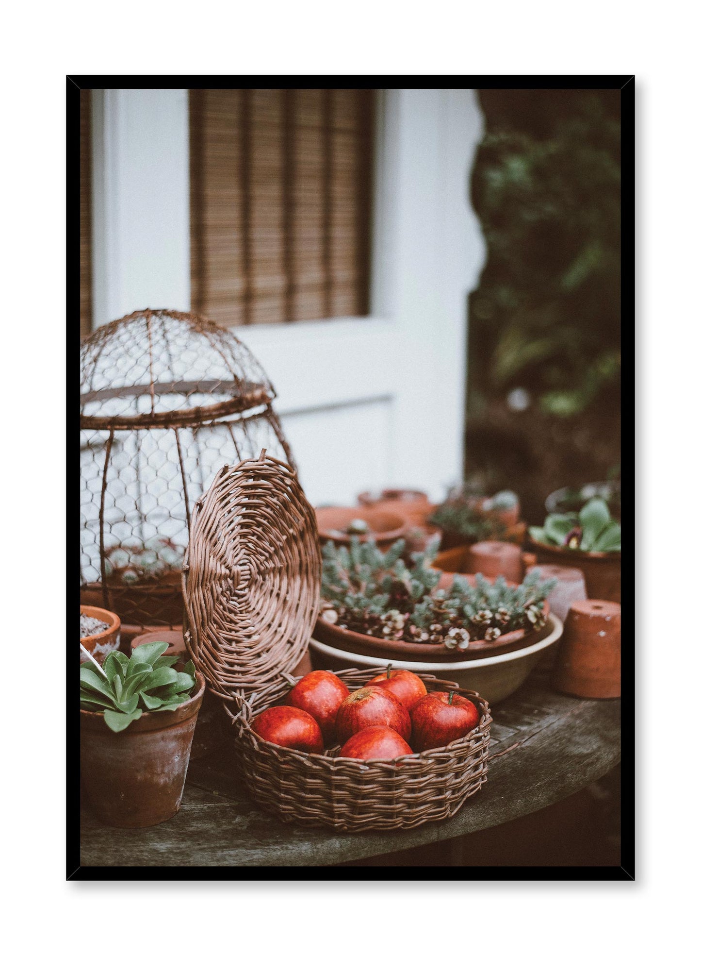 Apple Season, Poster