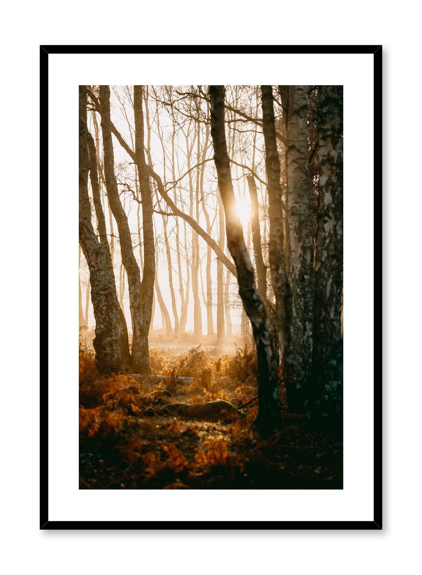 Twilight, Poster