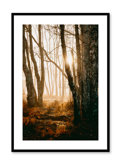 Twilight, Poster