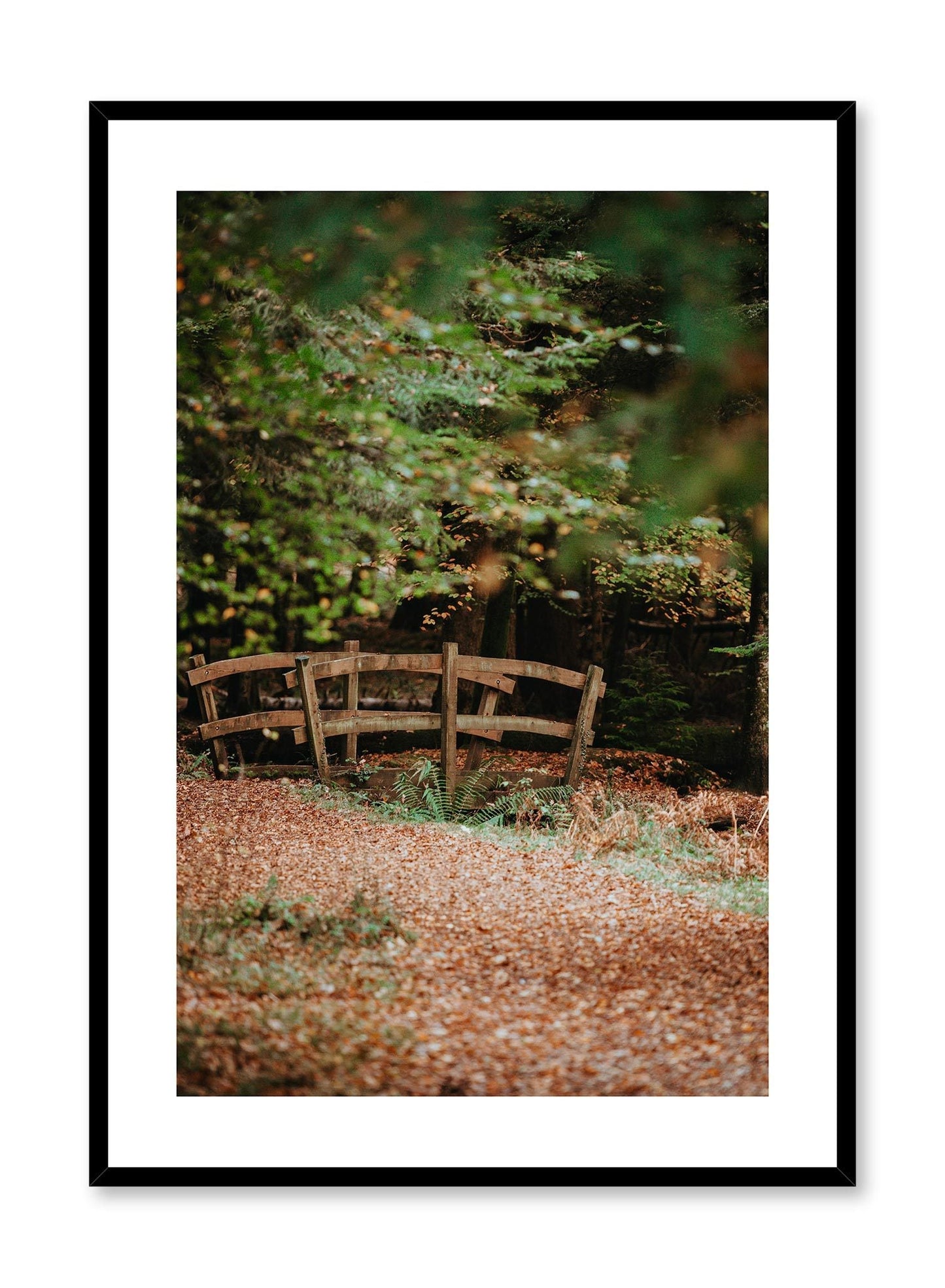 Woodland Bridge, Poster
