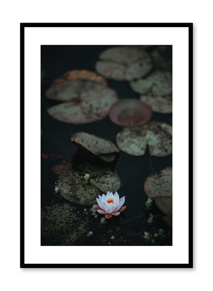 Lily Pad, Poster