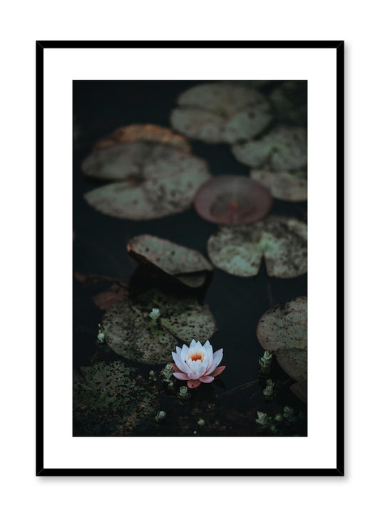 Lily Pad, Poster