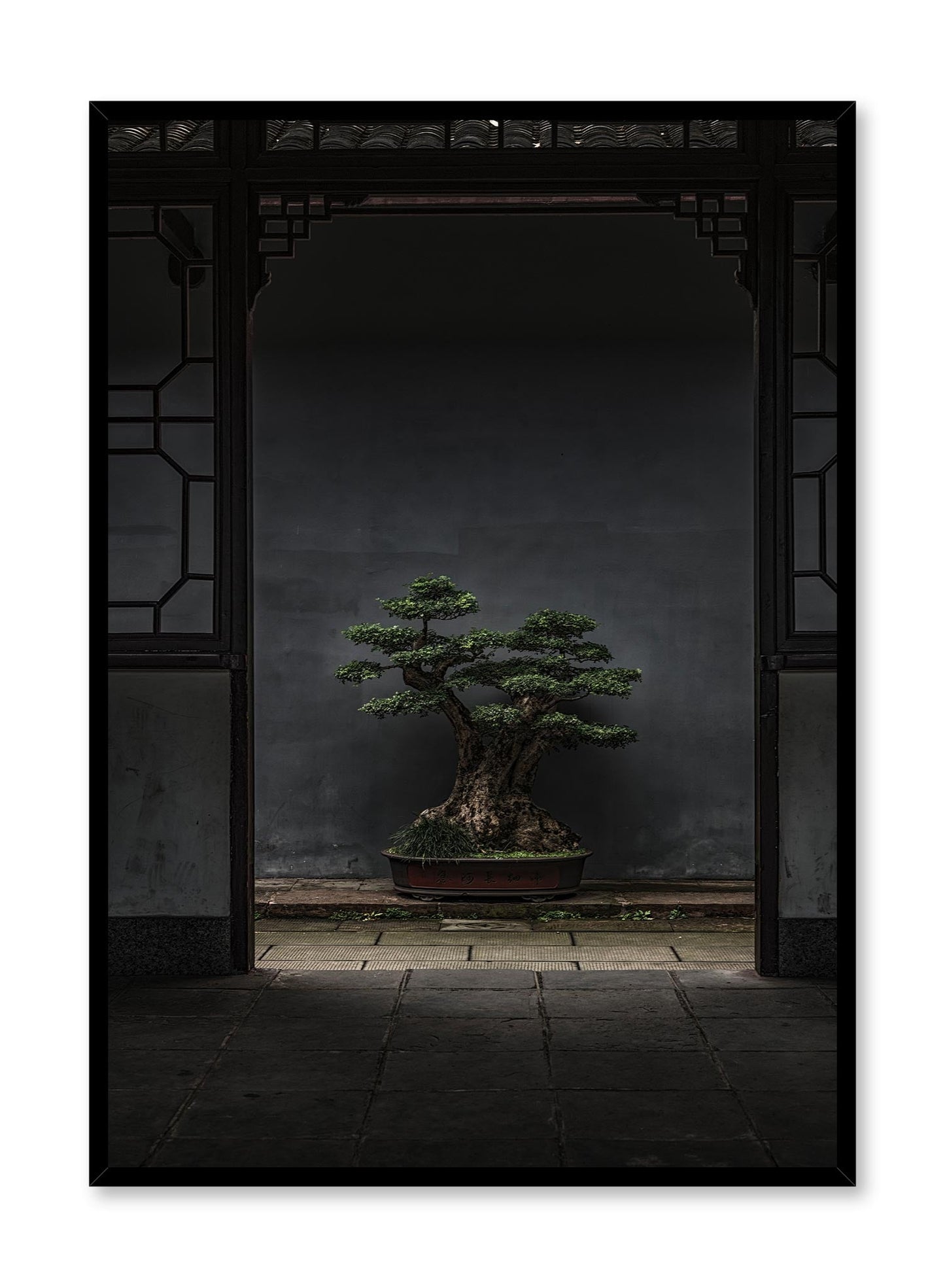 Bonsai Illumination, Poster