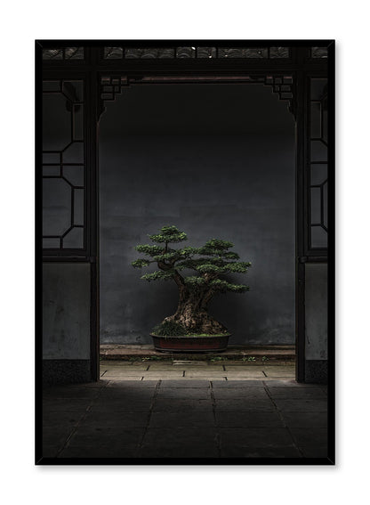 Bonsai Illumination, Poster