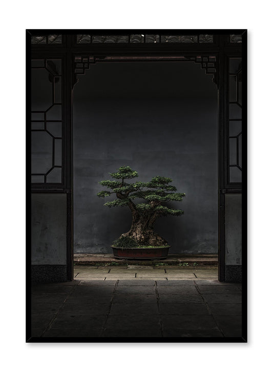 Bonsai Illumination, Poster