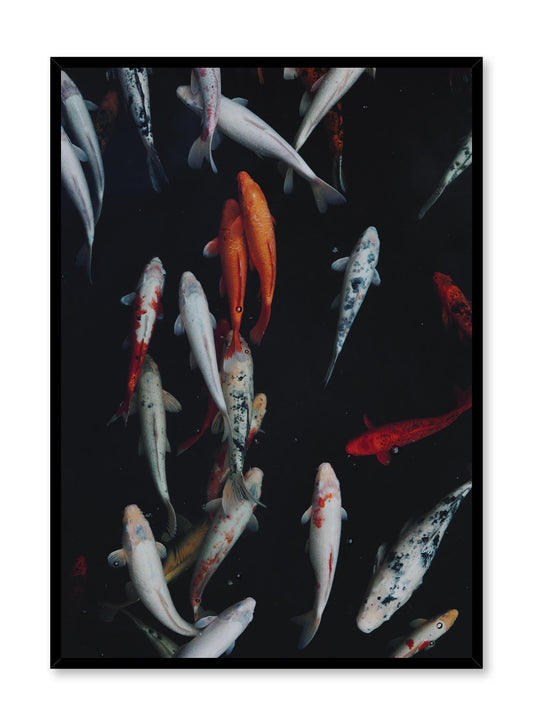 Koi Pond, Poster