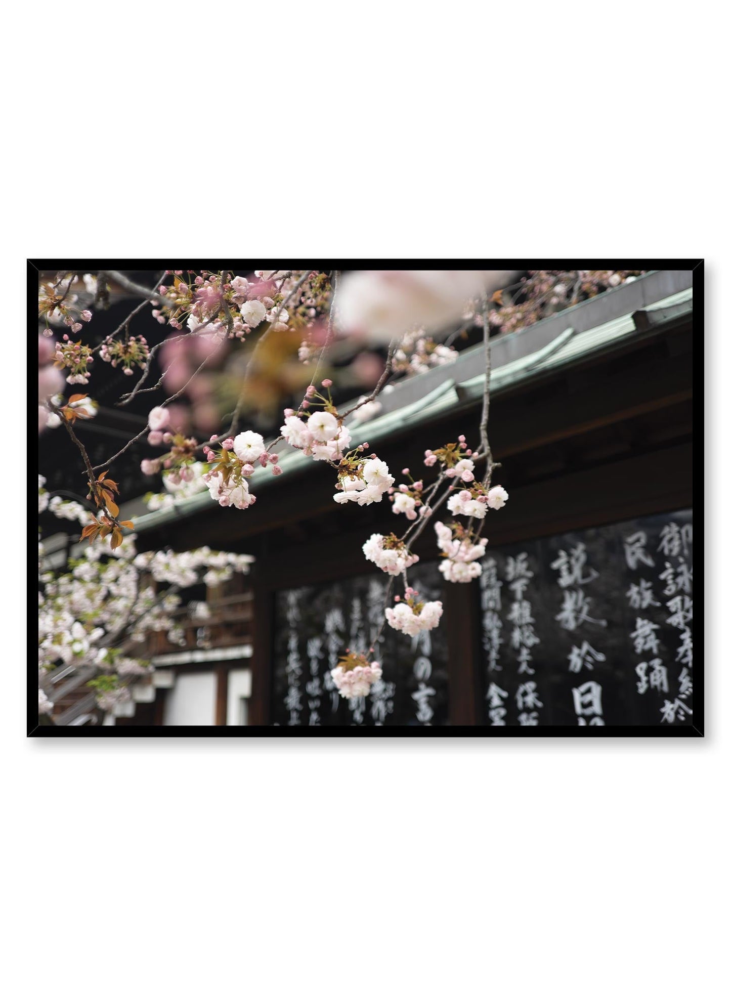 Japanese Bloom, Poster