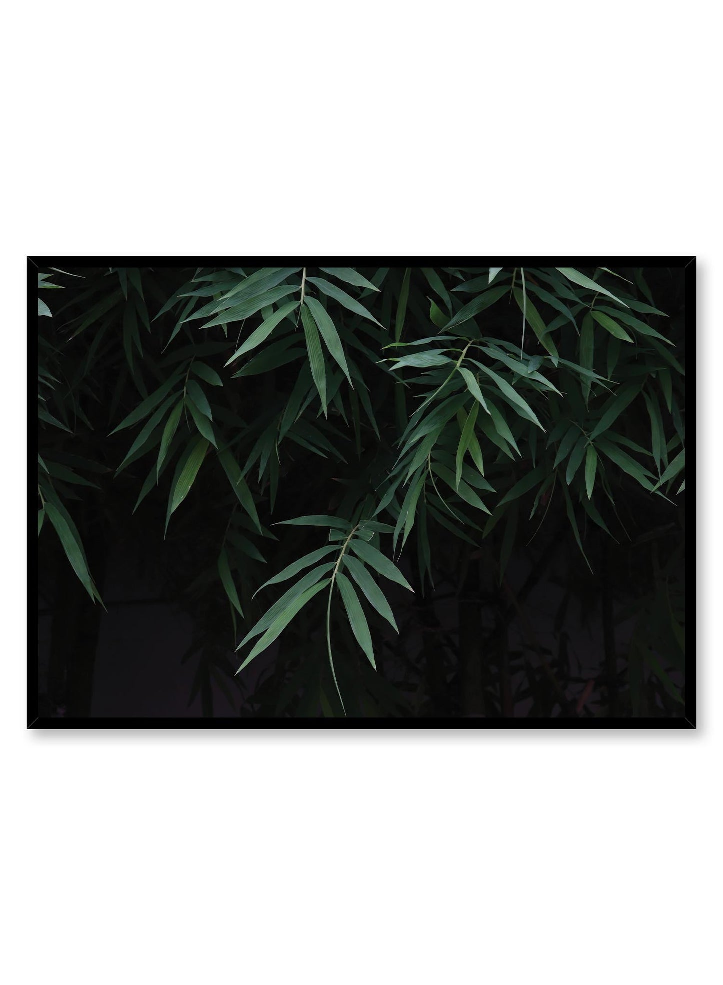 Verdant, Poster