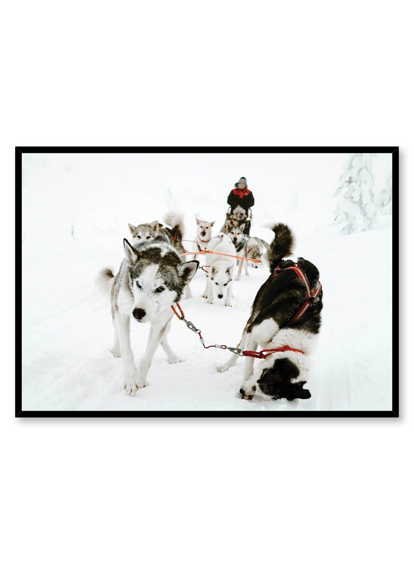 Sled Squad, Poster