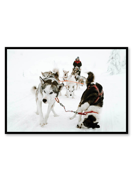 Sled Squad, Poster