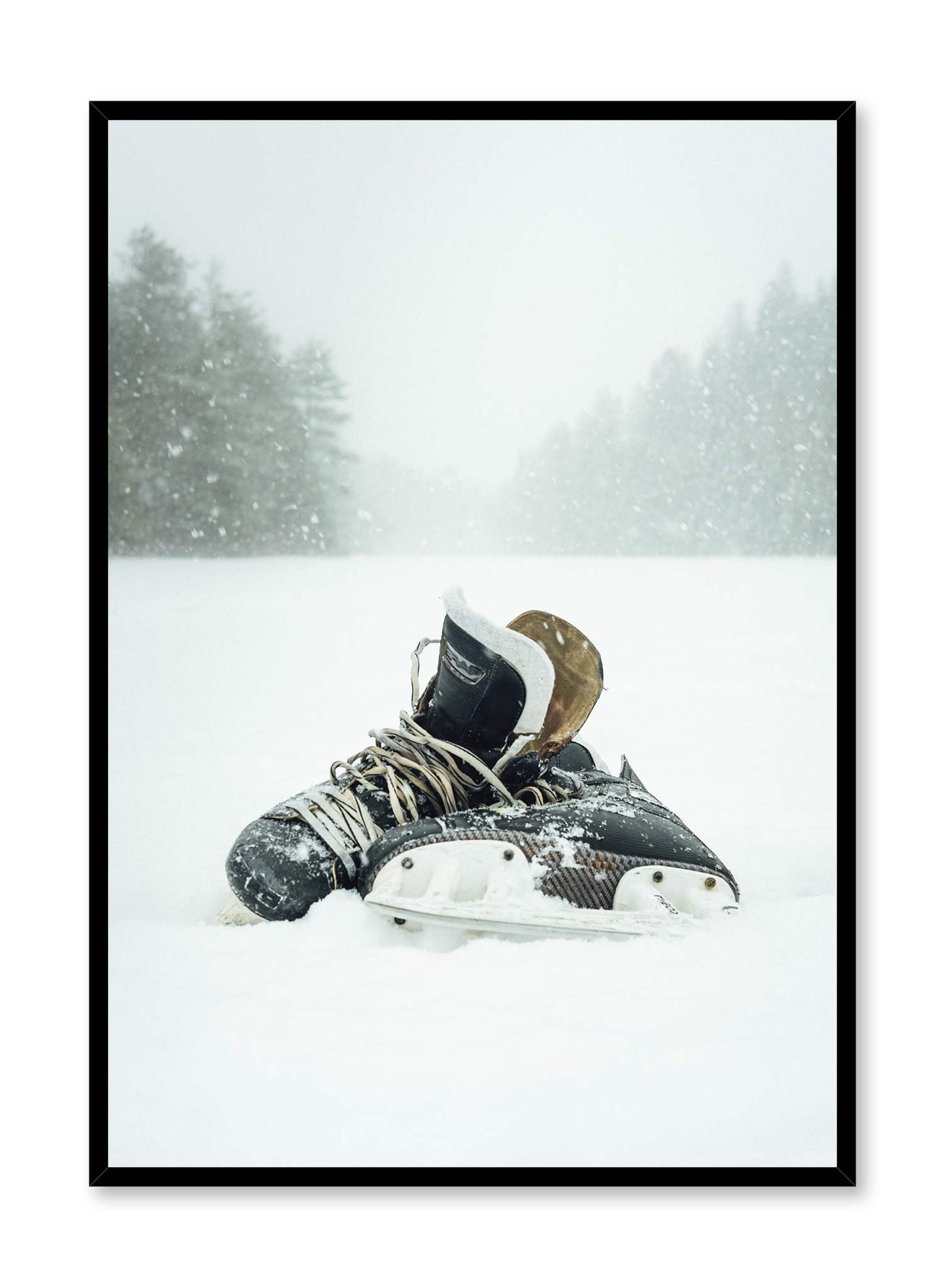 Ice Skates, Poster
